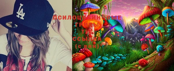 ПСИЛОЦИБИНОВЫЕ ГРИБЫ Лагань