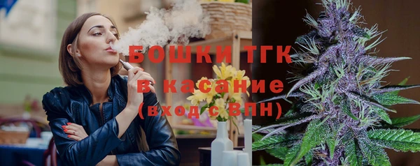ПСИЛОЦИБИНОВЫЕ ГРИБЫ Лагань