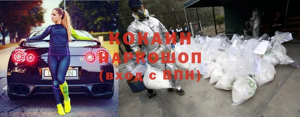 ПСИЛОЦИБИНОВЫЕ ГРИБЫ Лагань