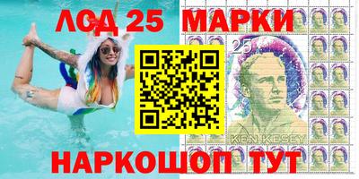 a pvp Гатчина