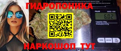 a pvp Гатчина