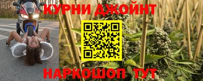 a pvp Гатчина