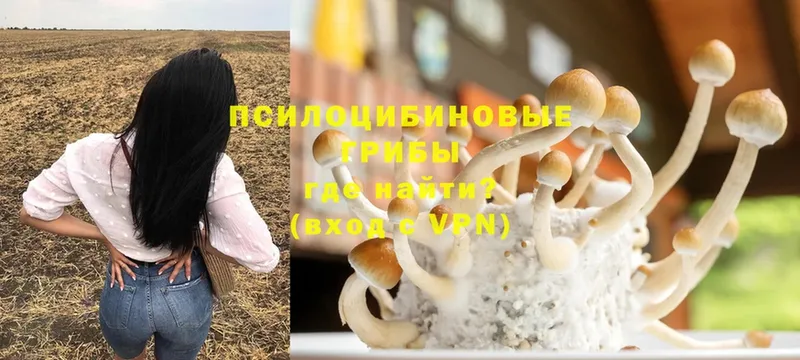 Галлюциногенные грибы Magic Shrooms  купить наркоту  Омск 