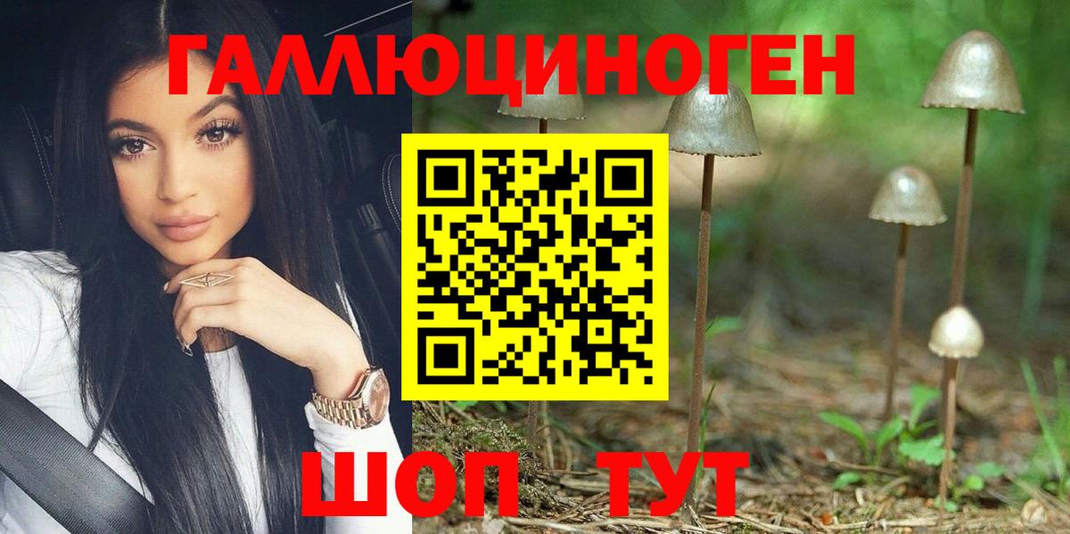 Псилоцибиновые грибы Psilocybine cubensis Омск