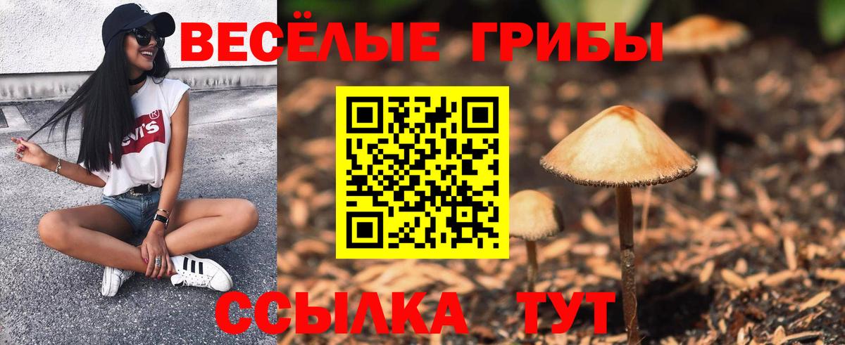 как найти закладки  Псилоцибиновые грибы мухоморы  Галлюциногенные грибы MAGIC MUSHROOMS  Вход с VPN  Омск 
